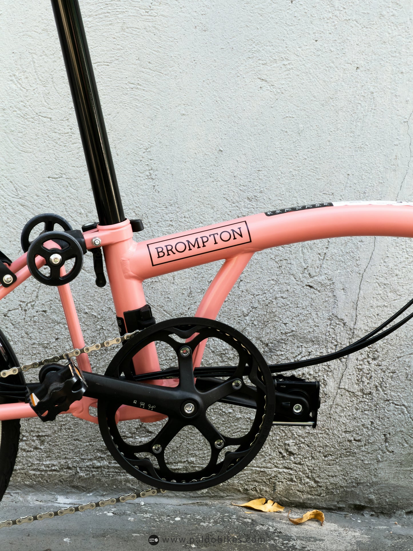 Brompton C Line 12 Speed - Flamingo Pink